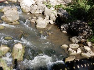 image114